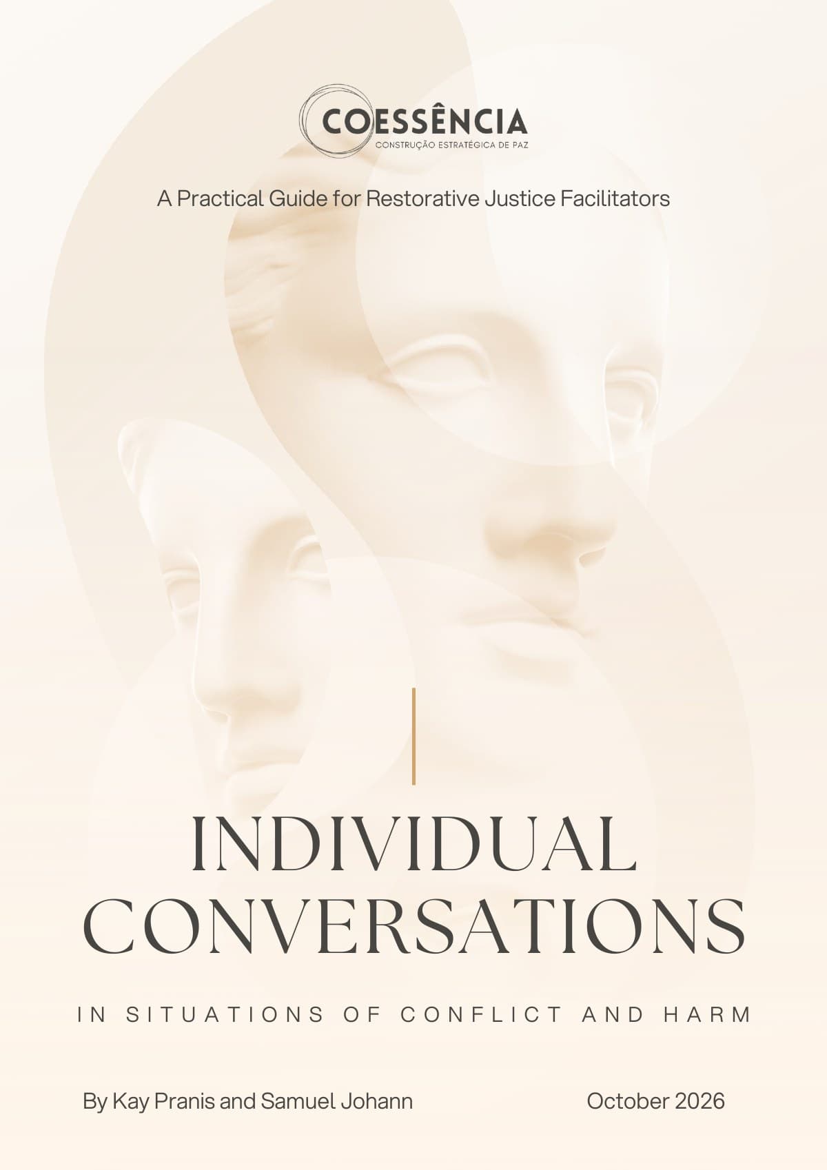 Cover of the guide Individual Conversations